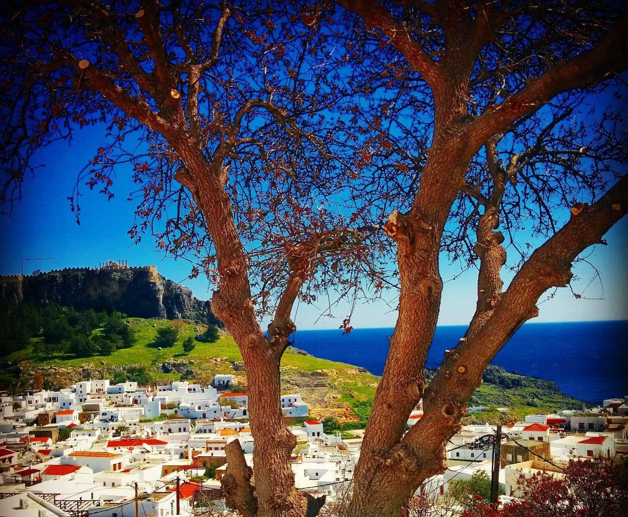 Little Lindos Sea View Studios Eksteriør billede