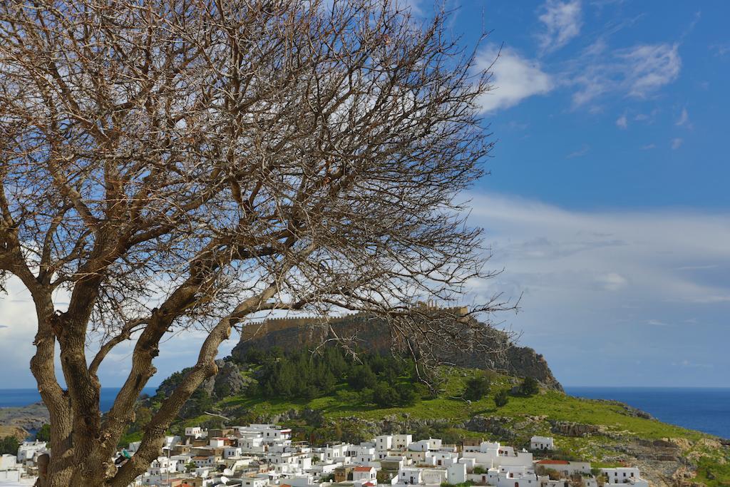 Little Lindos Sea View Studios Eksteriør billede