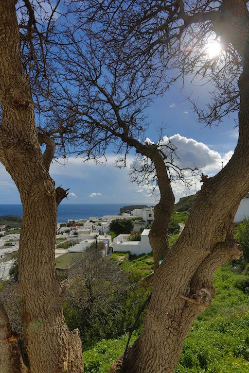 Little Lindos Sea View Studios Eksteriør billede